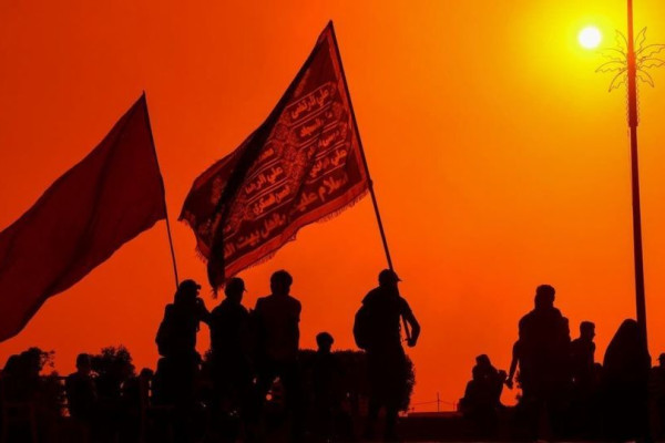 آمارها از اربعین ۱۴۰۵ چه می‌گویند؟